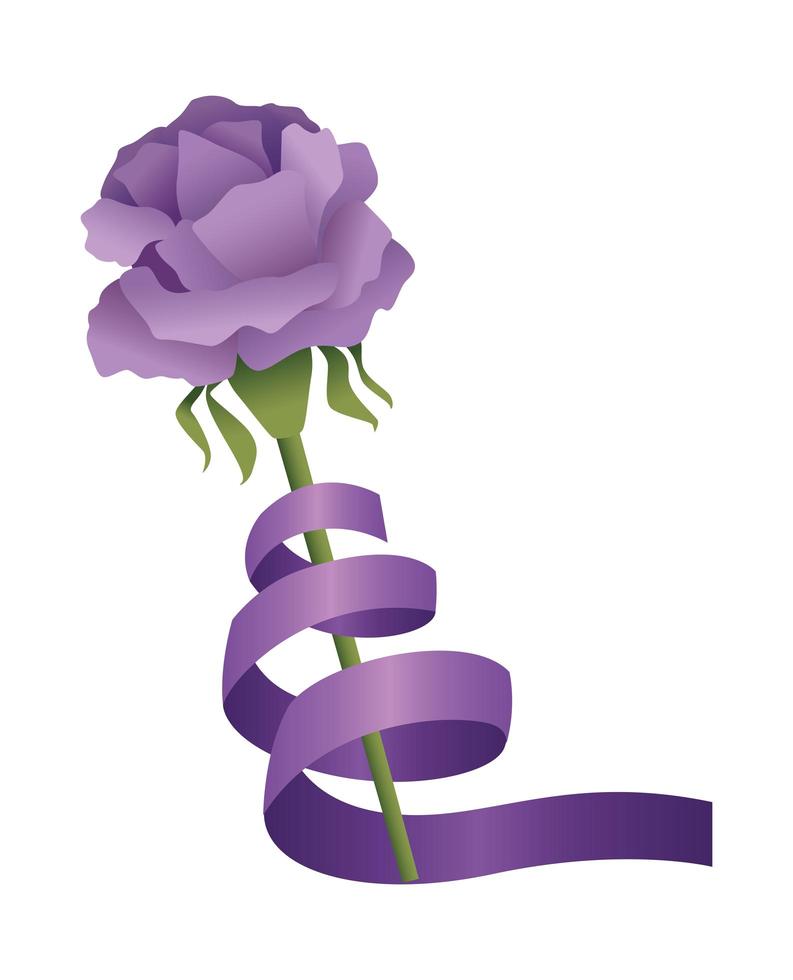 purple rose and ribbon vector