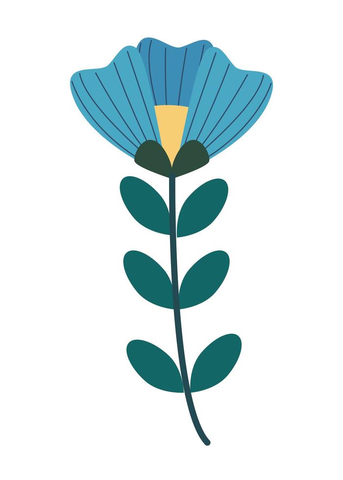 blue flower nature vector