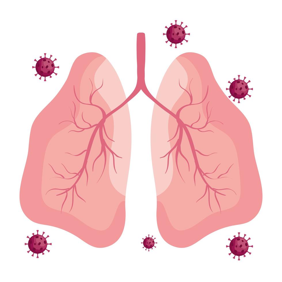 covid19 virus particles with lungs organs vector