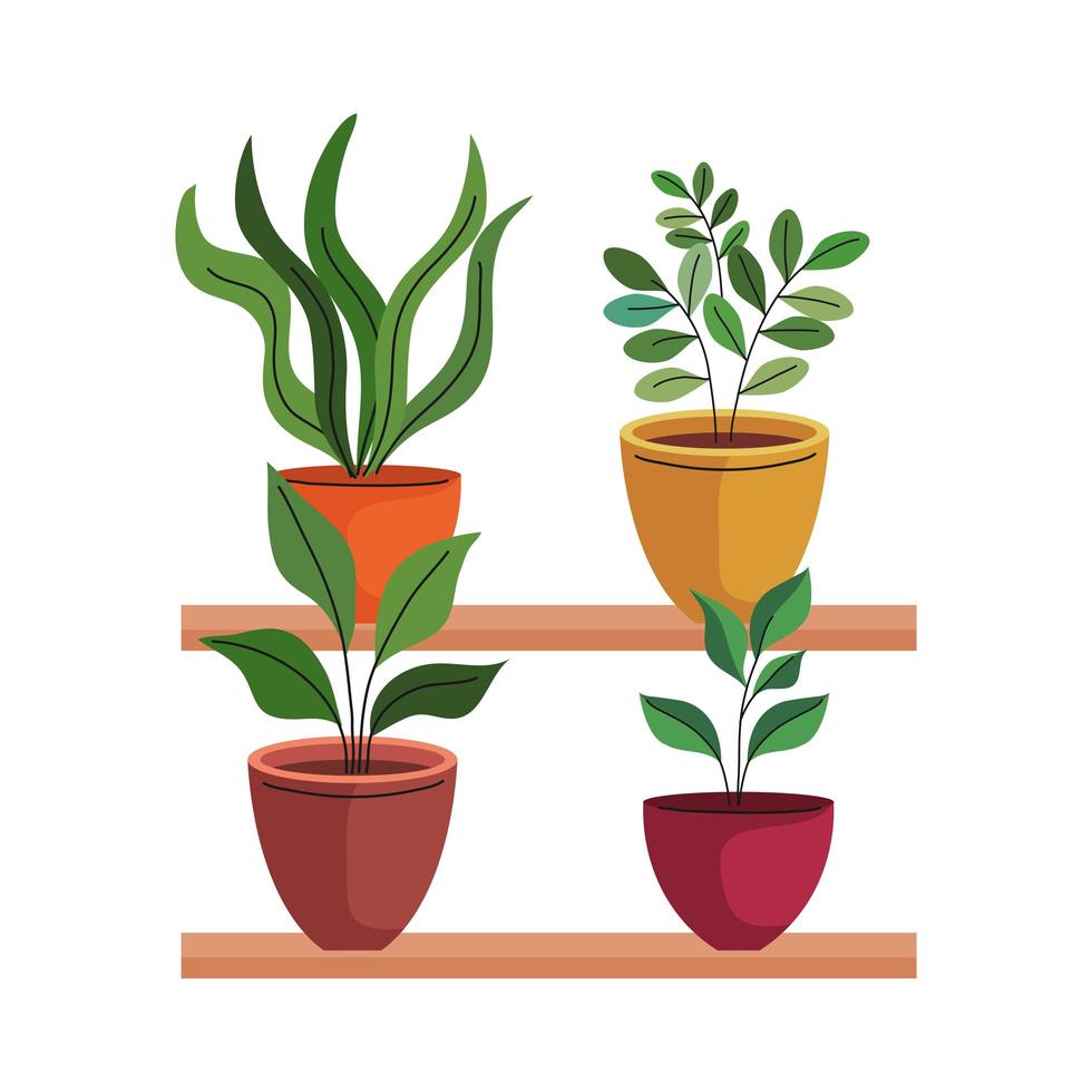 bundle of four house plants in ceramic pots over shelf vector