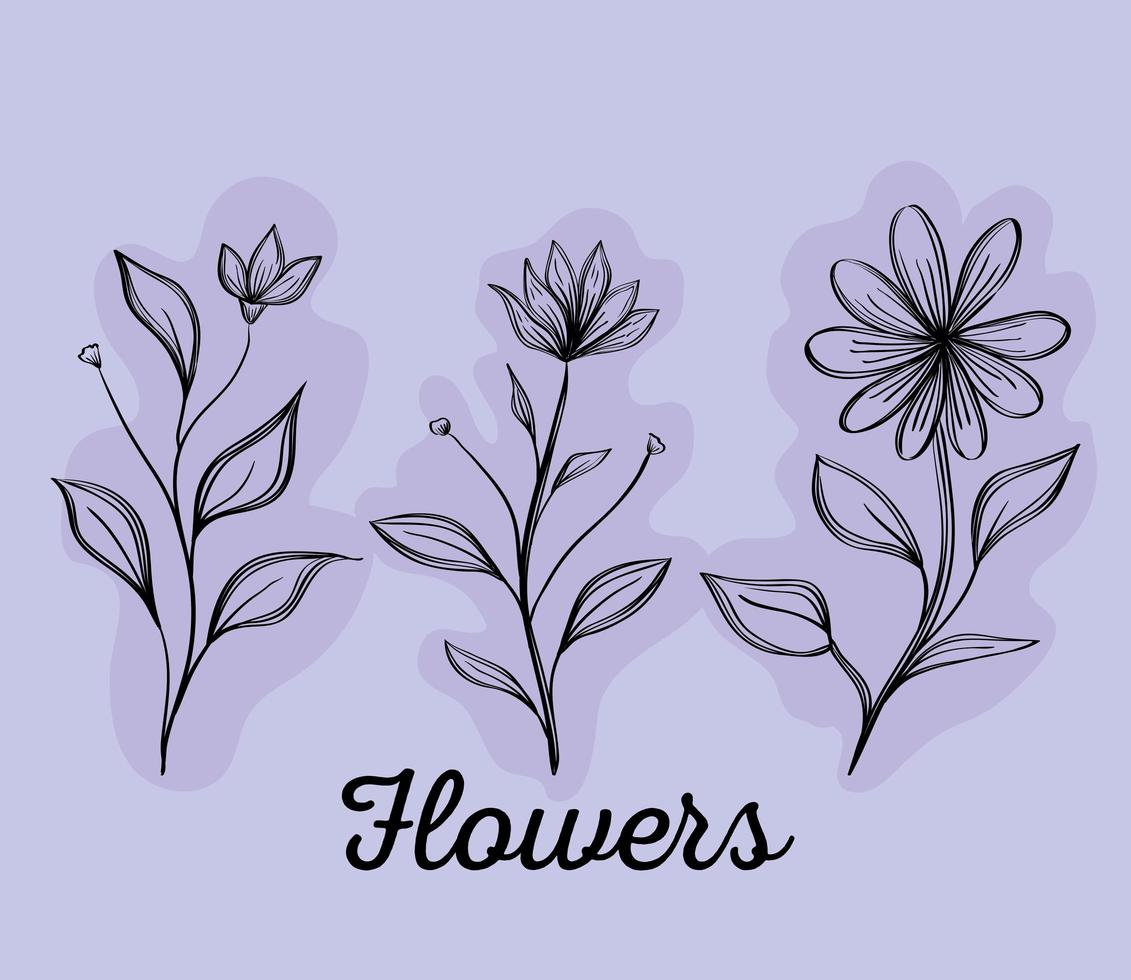 bundle of three flowers drawing nature ecology vector