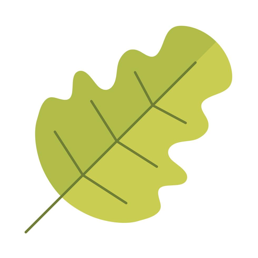 leaf vegetation nature vector