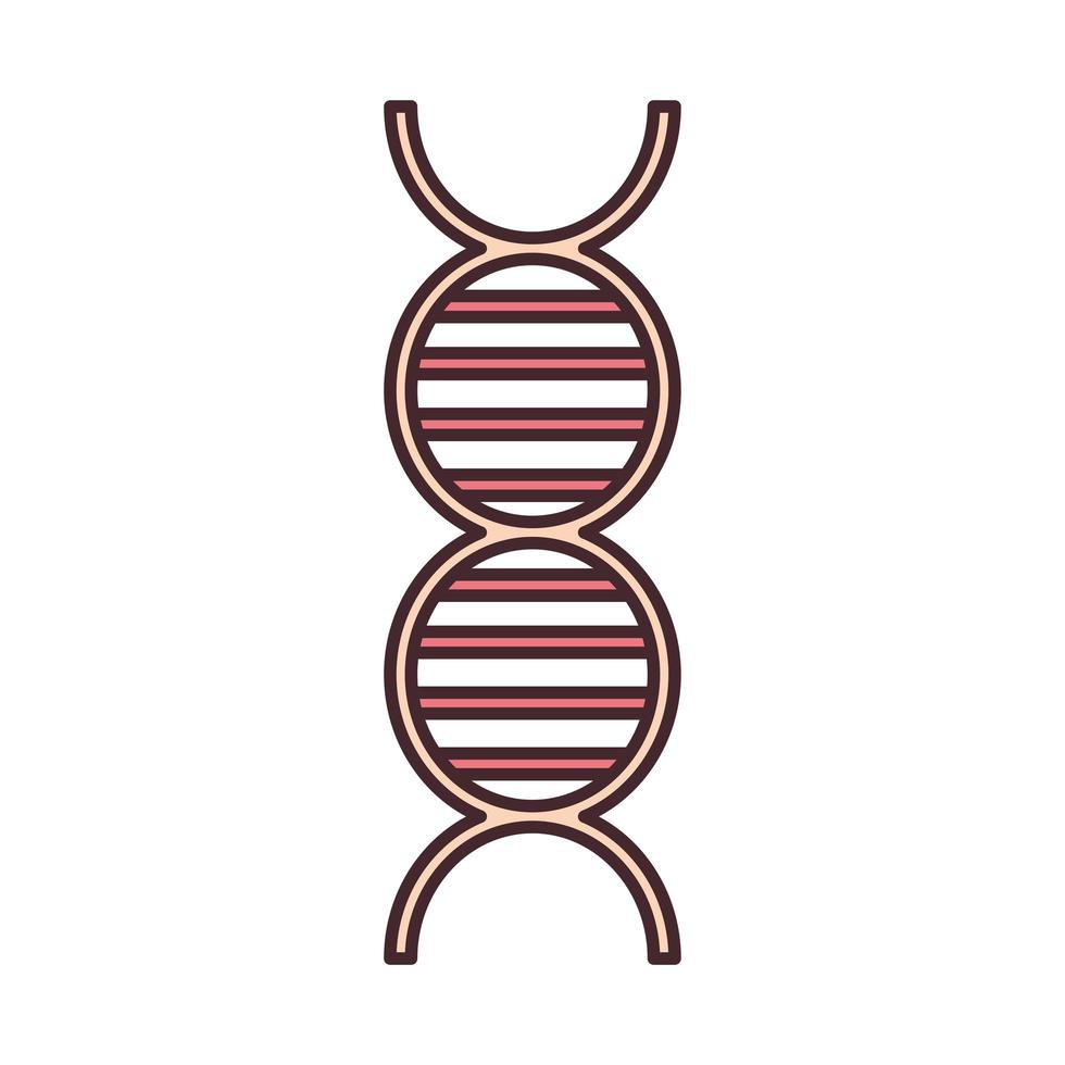 molécula de adn genético vector