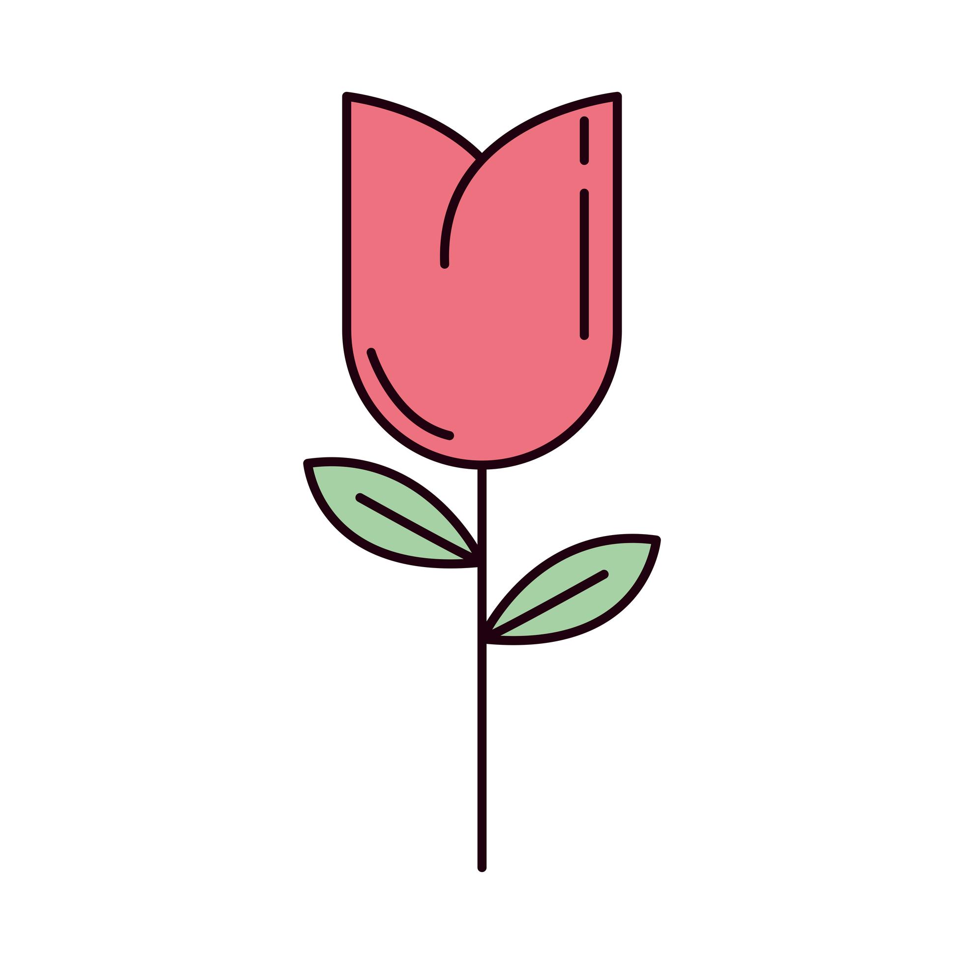 flower tulip decoration 2495627 Vector Art at Vecteezy