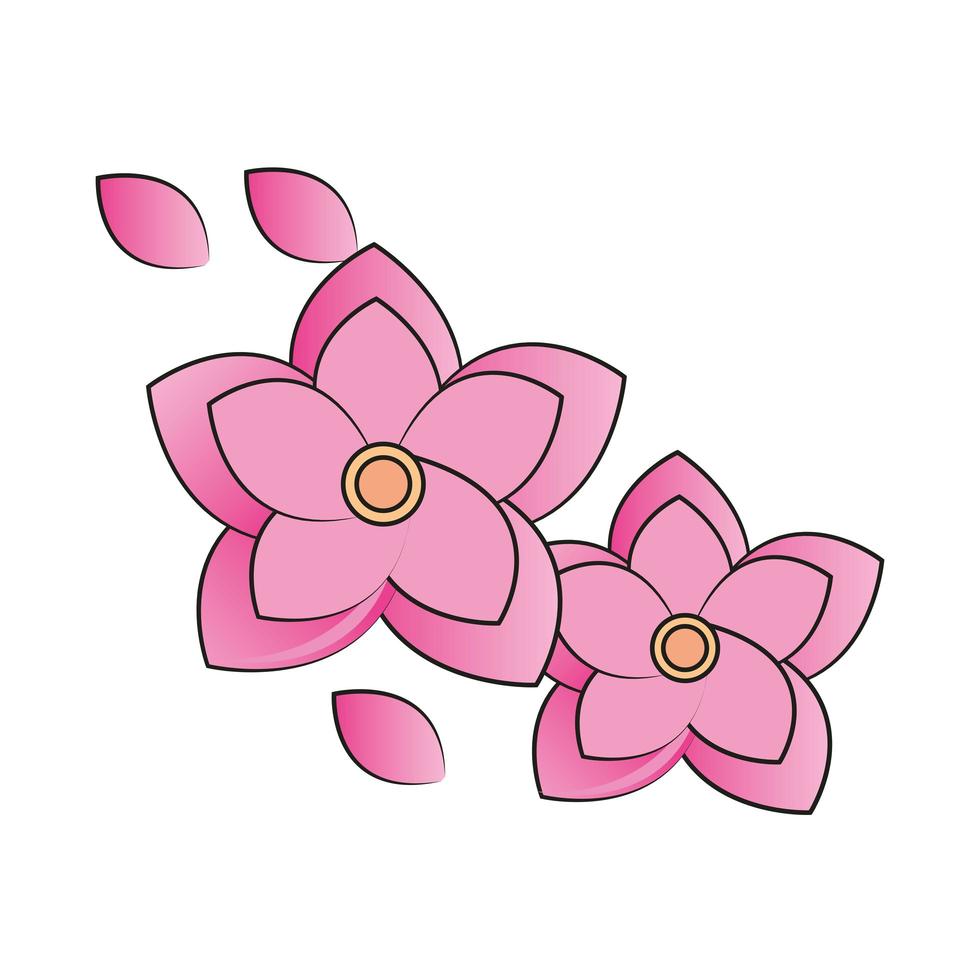 flores sakura asiáticas vector