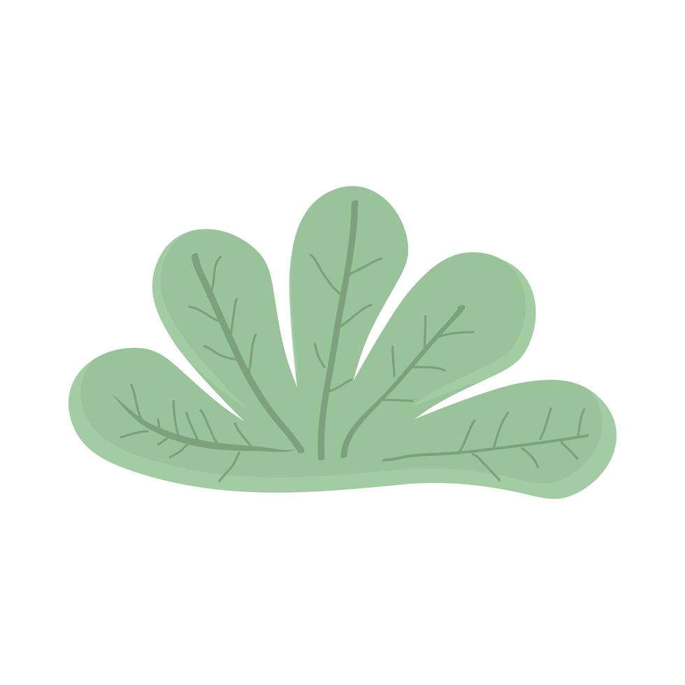 plant leaves nature vector