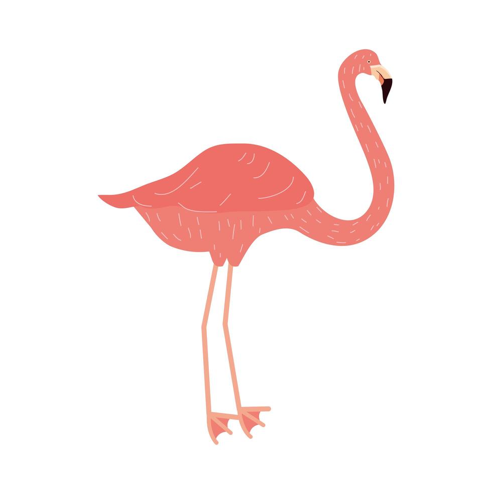 flamingo hand drawn 2495741 Vector Art at Vecteezy