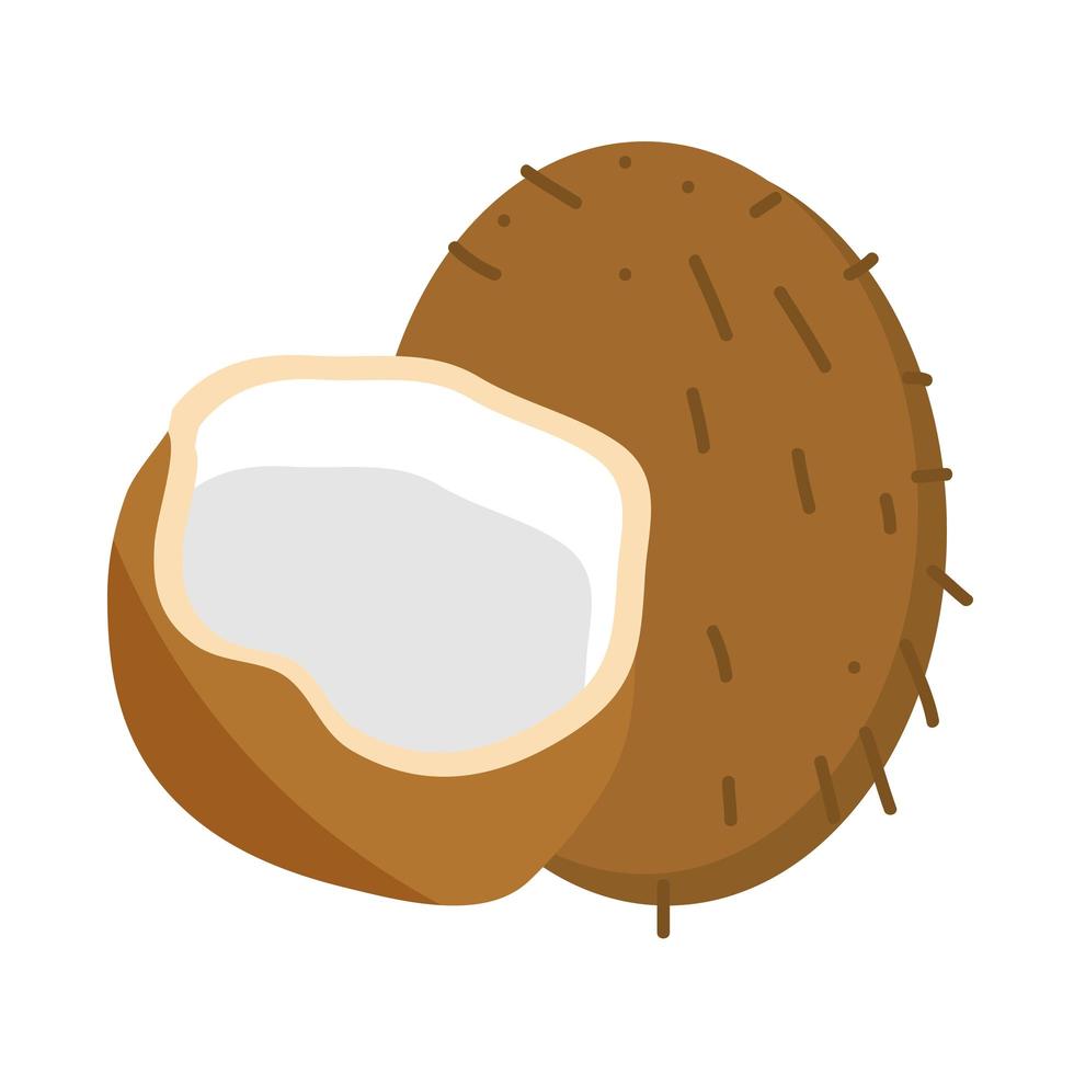 coco fruta tropical vector