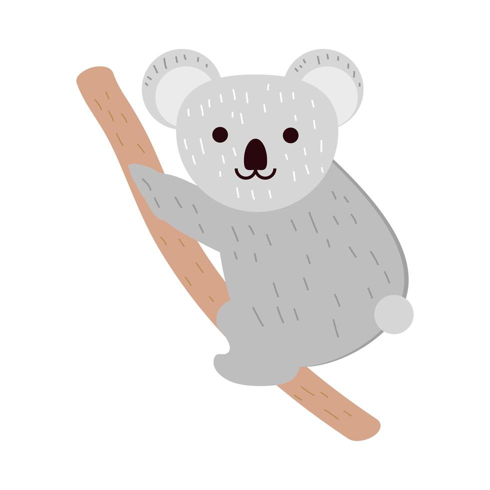 koala en rama vector