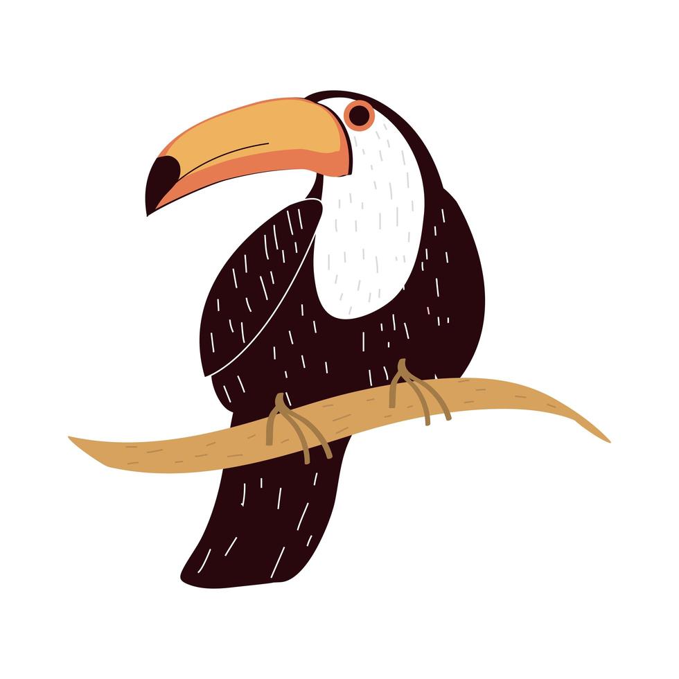 toucan in branch vector