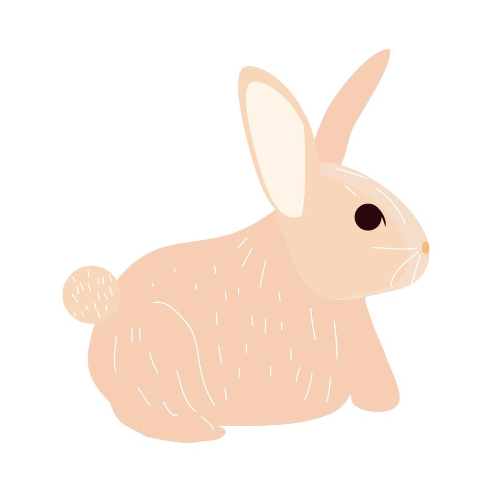cute rabbit animal vector