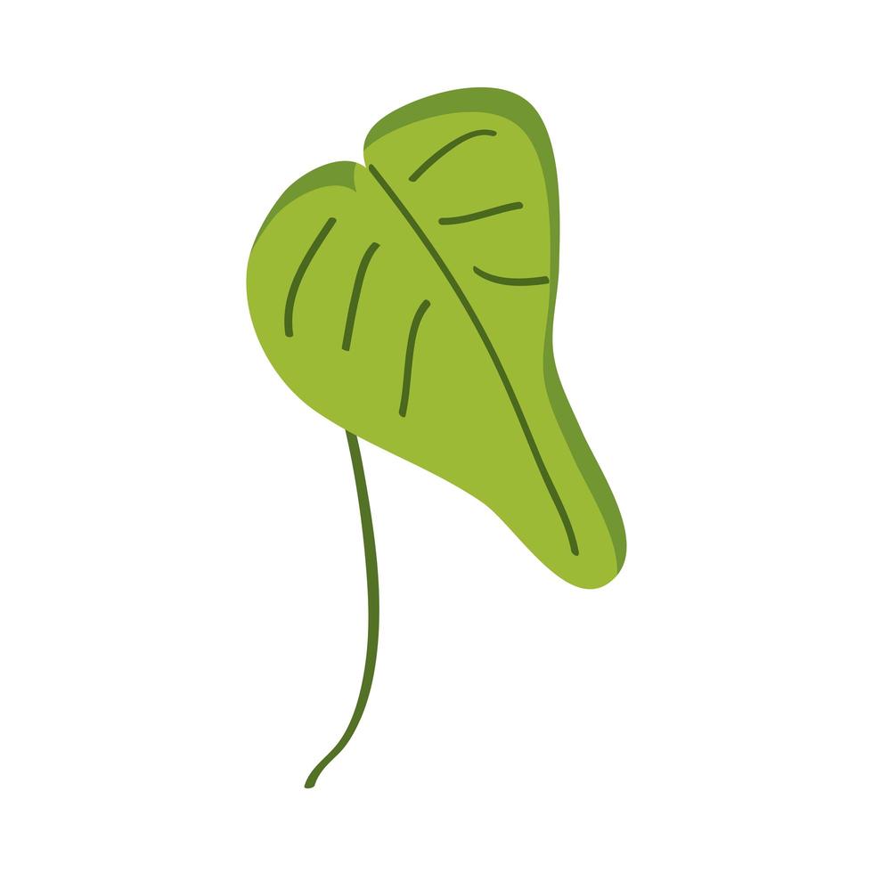 follaje de hoja verde vector