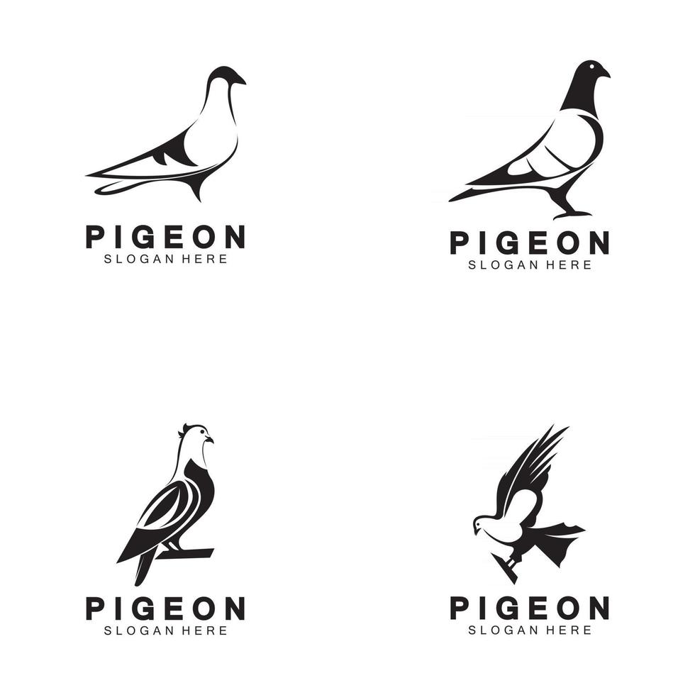Paloma pájaro logo vector icono ilustración diseño plantilla