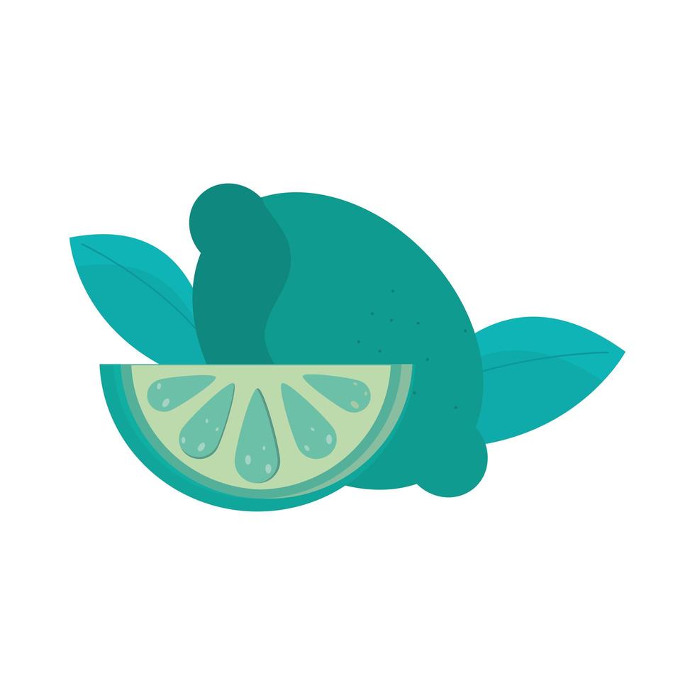 citrus lemon fruit fresh healthy meal vector
