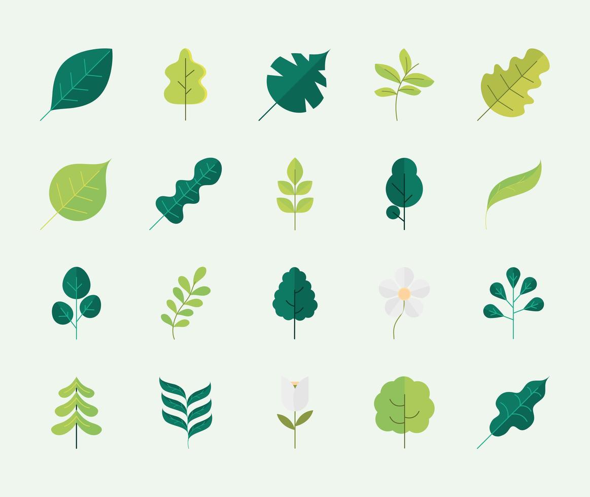 set of leaves vector