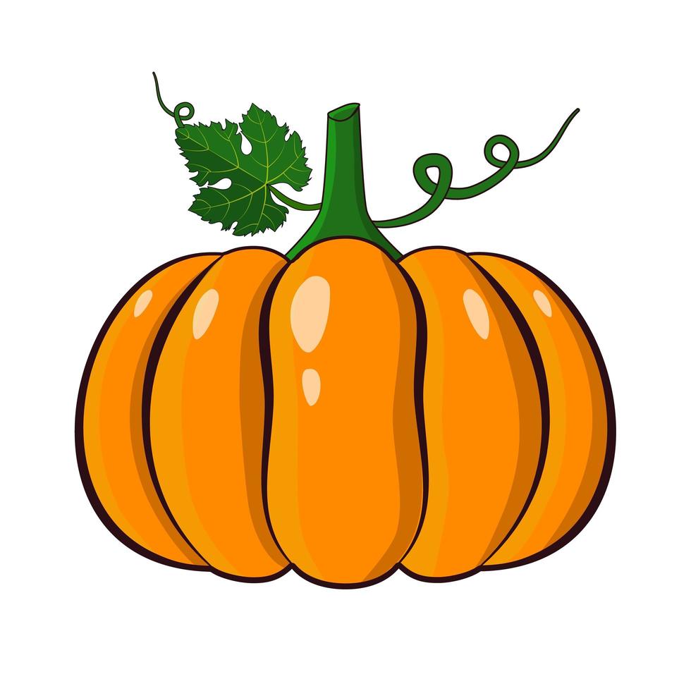 Orange pumpkin vector illustration