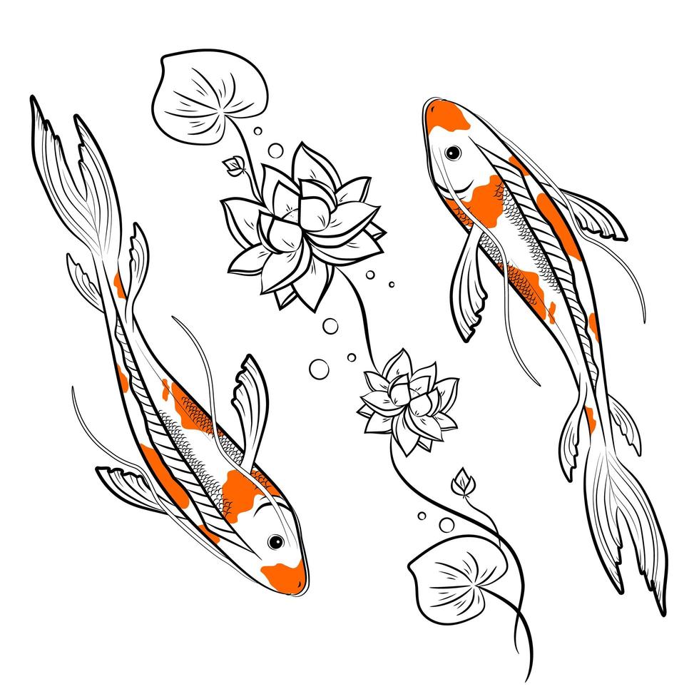 Koi carps fish with lotus vector illustration