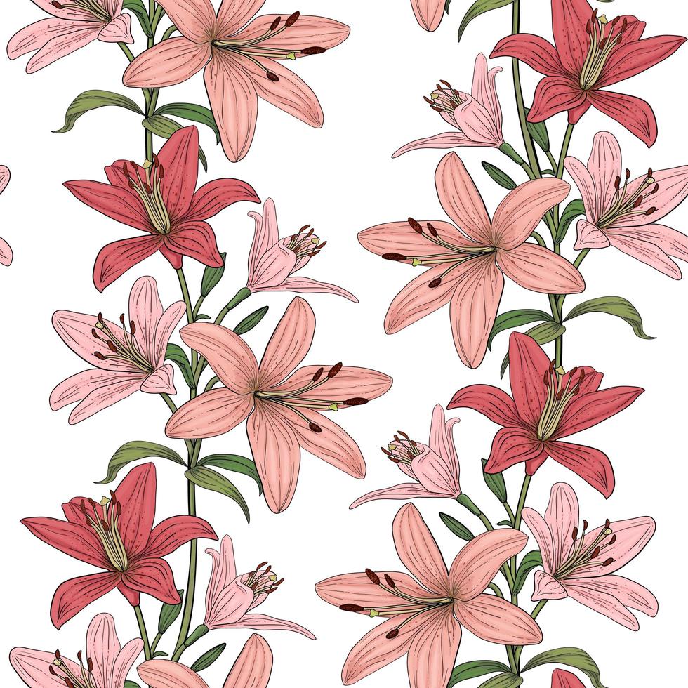 Seamless vector pattern with colorful lily flowerss