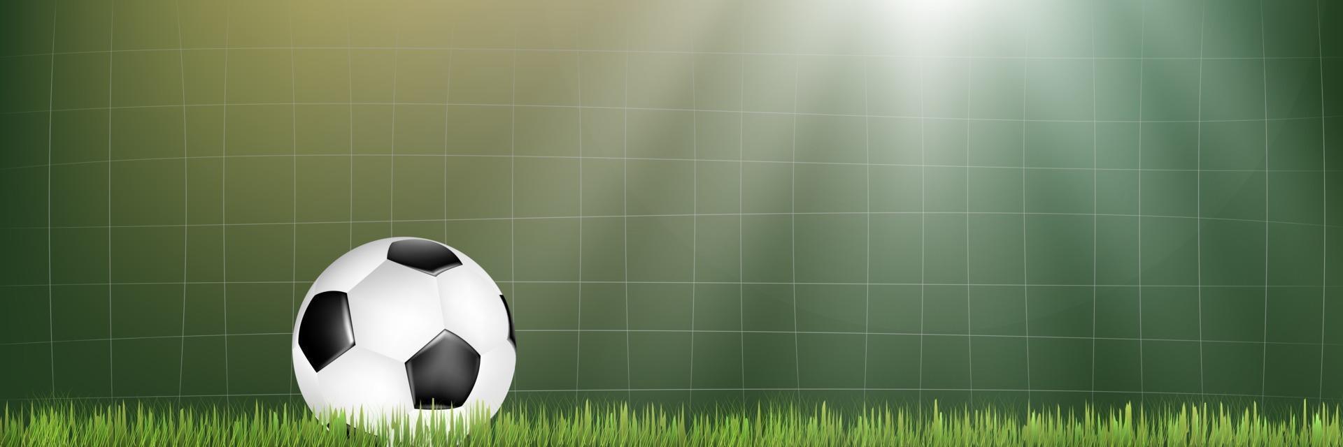 Soccer net and ball on the soccer field vector