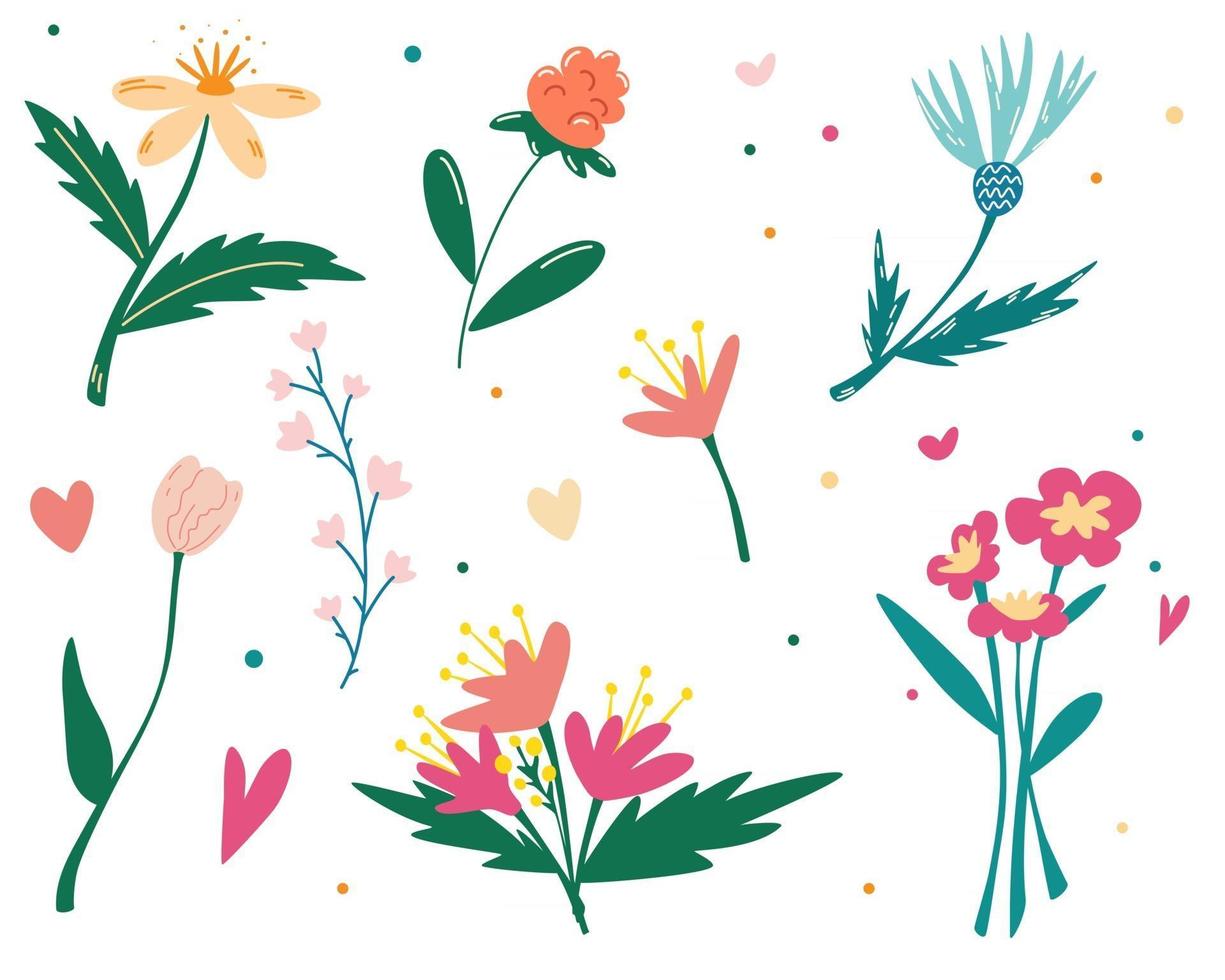 conjunto de flores silvestres colección botánica flores silvestres hierbas hojas jardín y follaje silvestre flores elegantes plantas primaverales para floristería tela textil saludo postal ilustraciones vectoriales vector