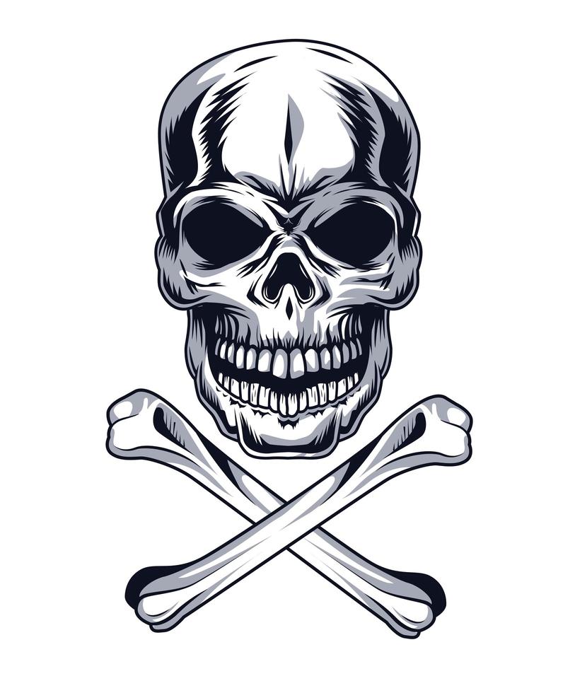 skull with bones vector