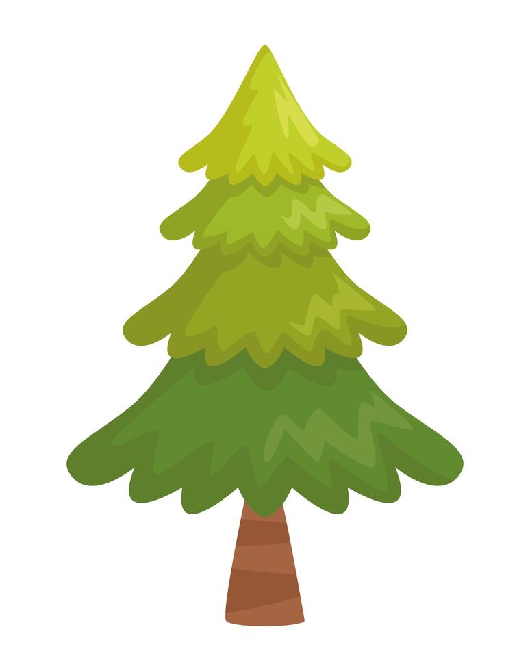 pine tree plant vector