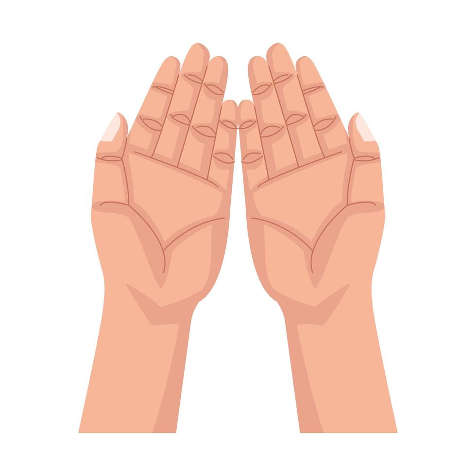 hands human up open isolated icon vector