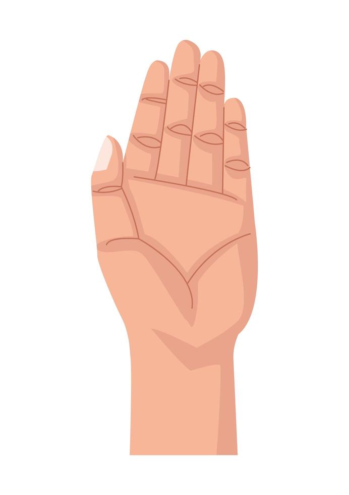 hand human stop isolated icon vector