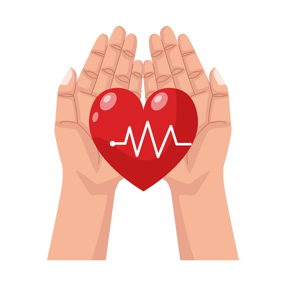 hands lifting heart cardio with line pulse isolated icon vector