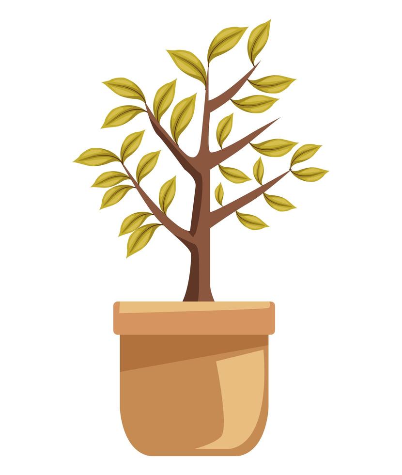 Planta de árbol en icono de maceta de cerámica vector