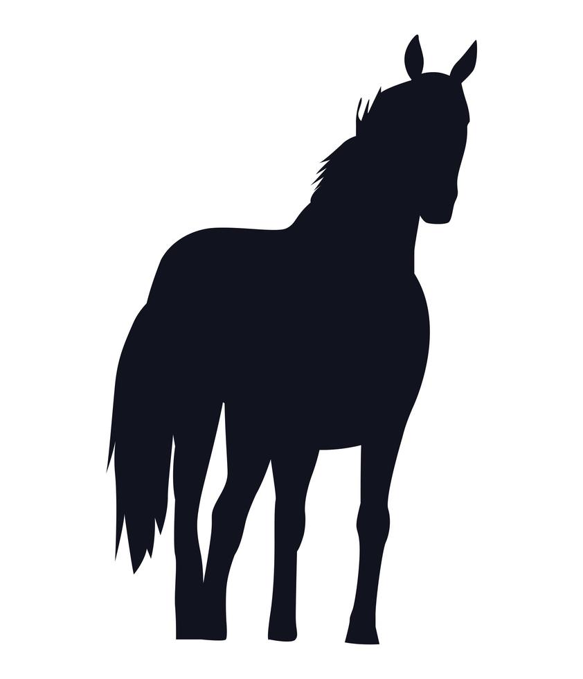 Caballo silueta negra icono aislado vector