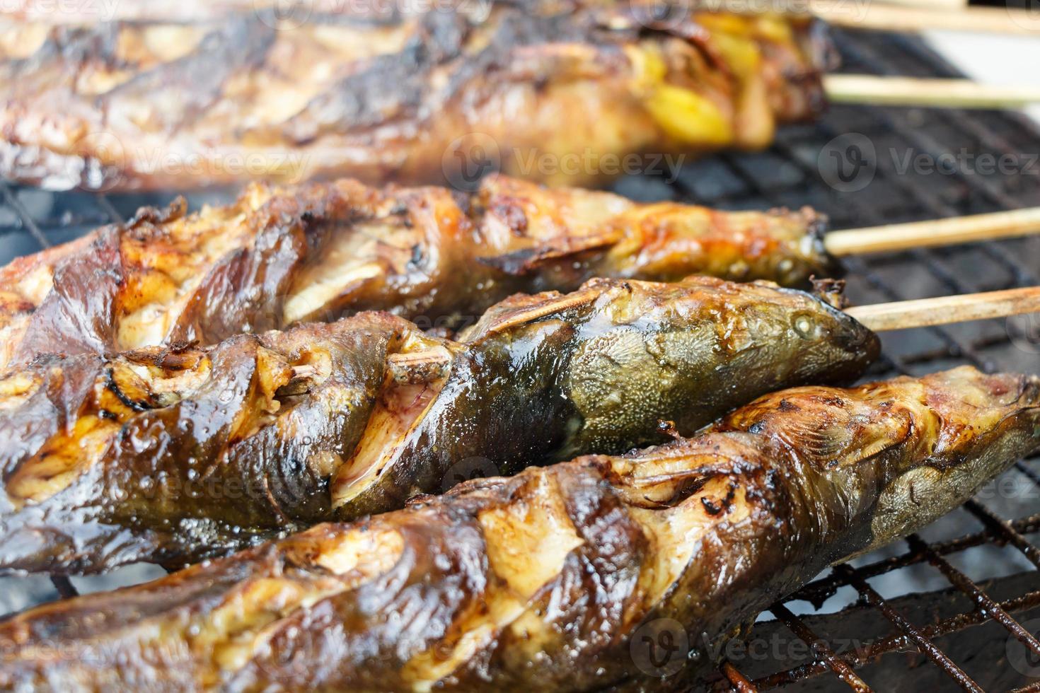 los bagres fueron asados a la parrilla foto