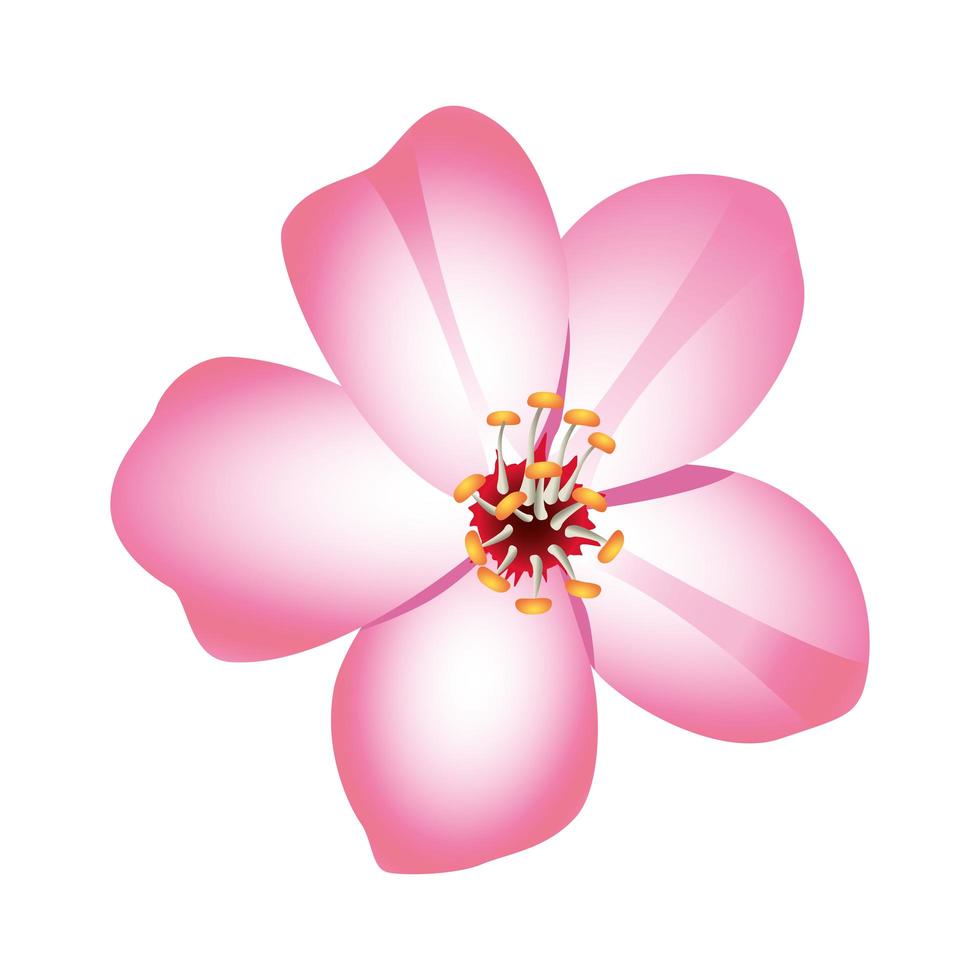 belleza flor rosa naturaleza icono vector