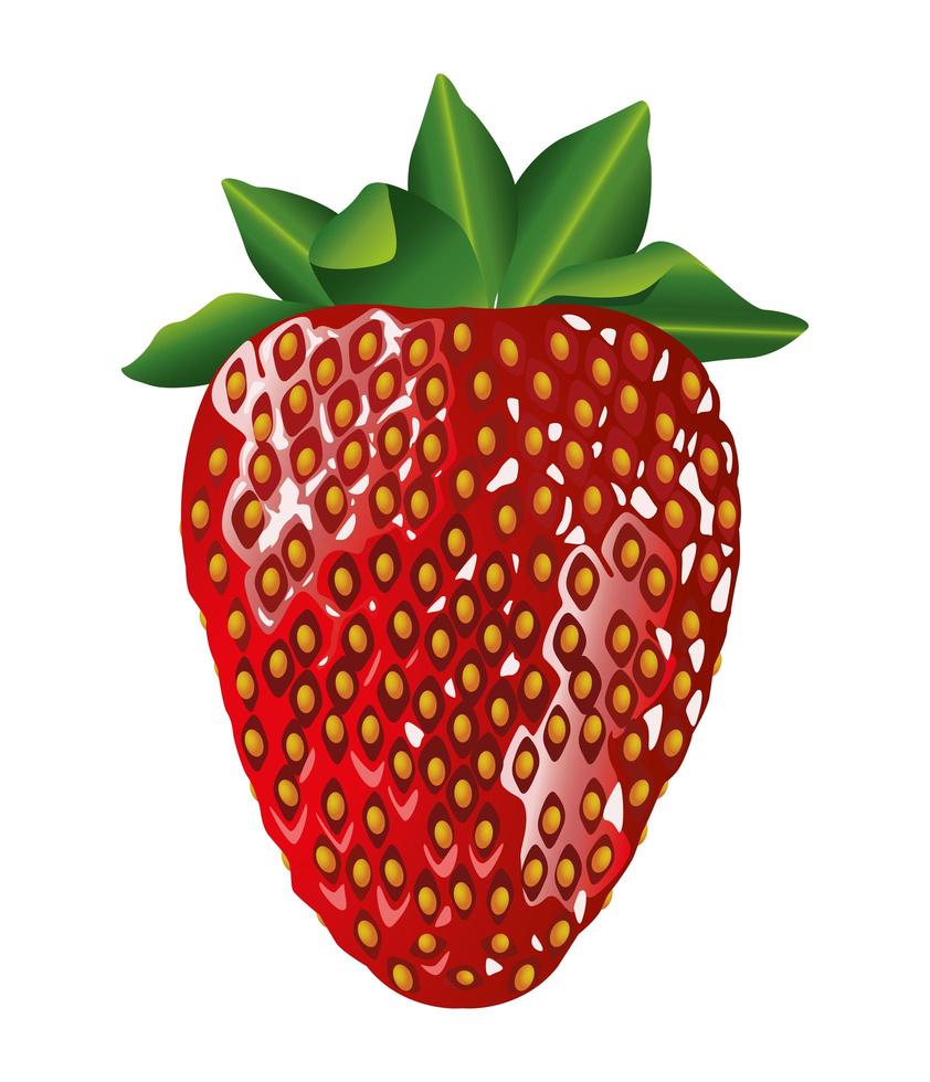fresh and delicious strawberry fruit vector