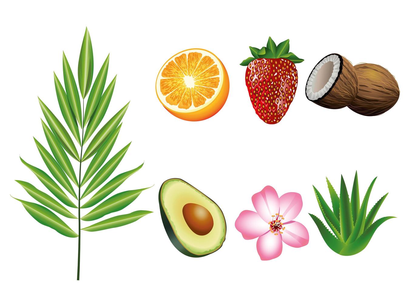 Paquete de siete frutas y plantas tropicales establecer iconos vector