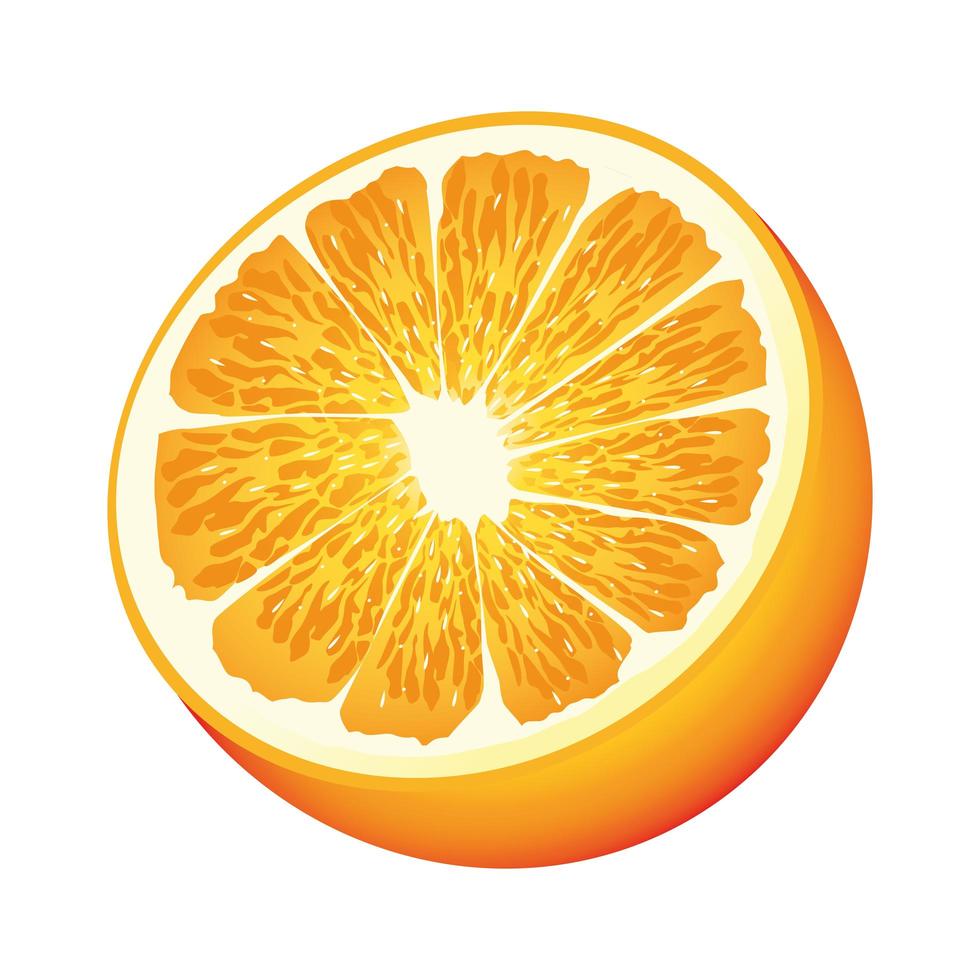 icono de mitad de fruta cítrica naranja vector