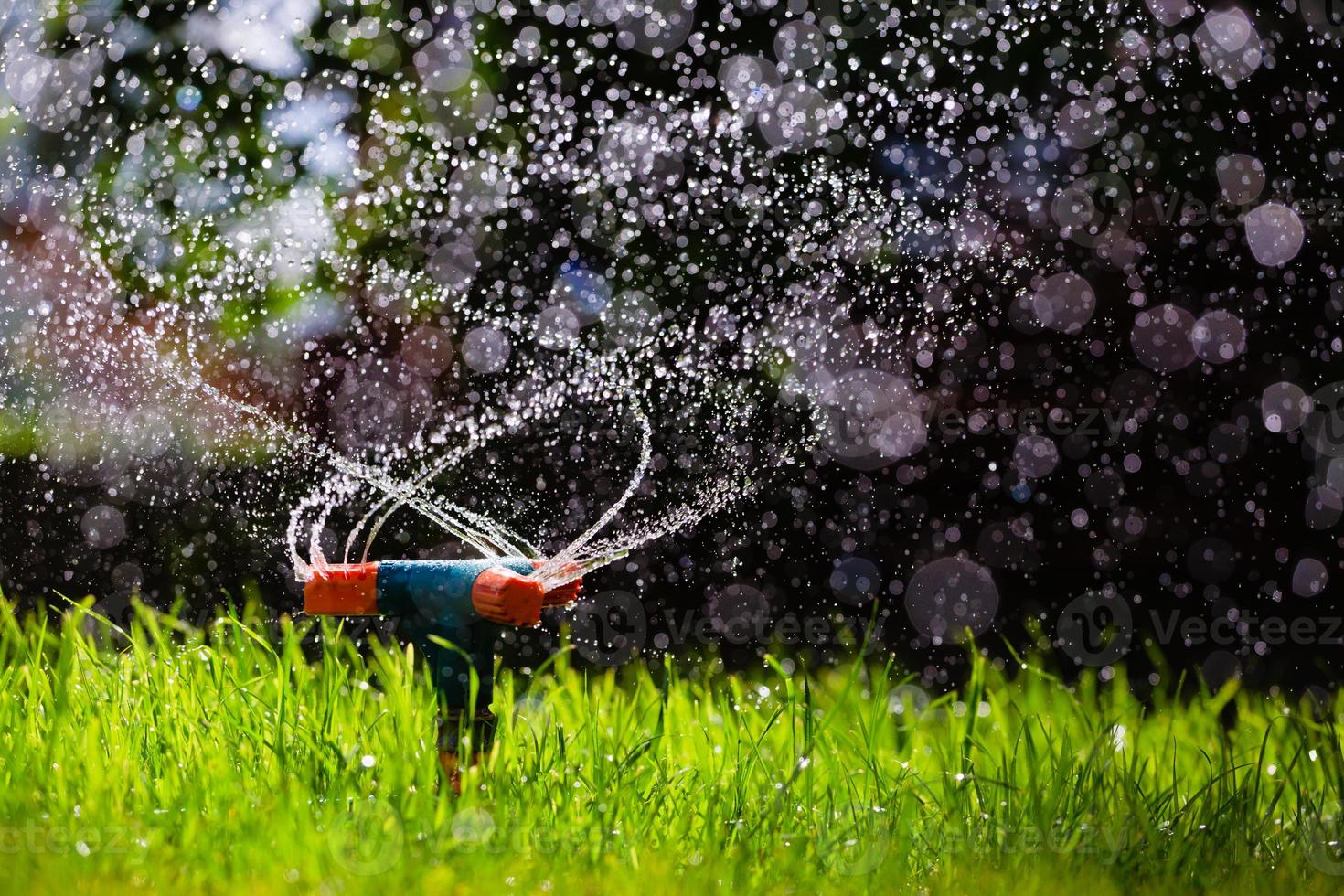Rotating garden sprinkler watering grass photo