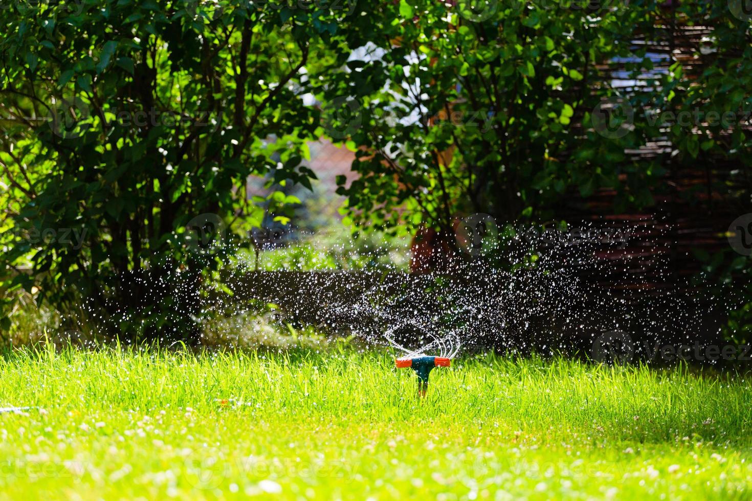 Rotating garden sprinkler watering grass photo