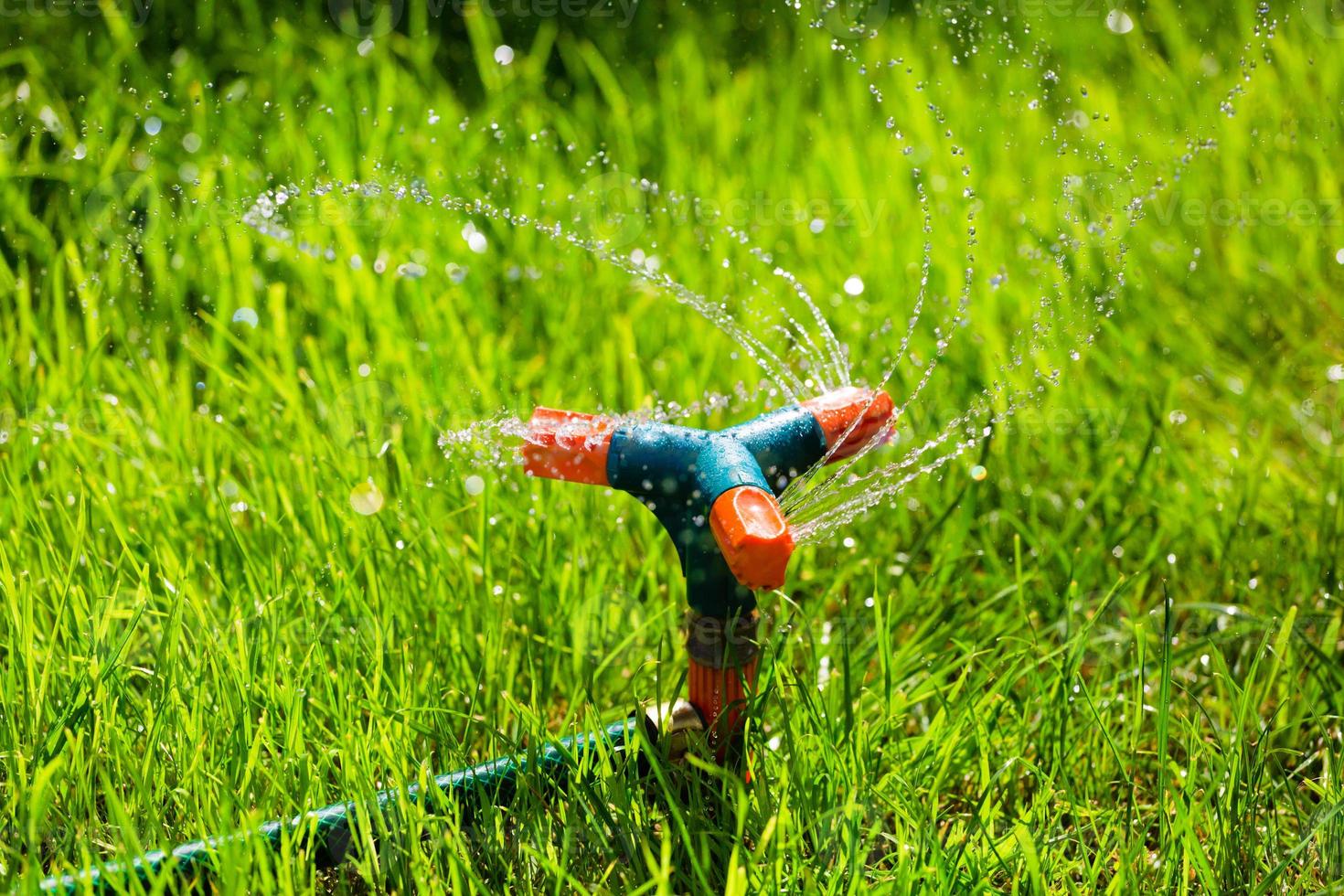 Rotating garden sprinkler watering grass photo