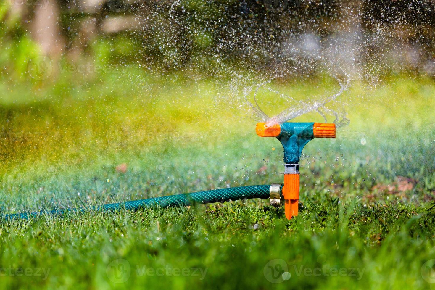 riego por aspersión de jardín césped foto