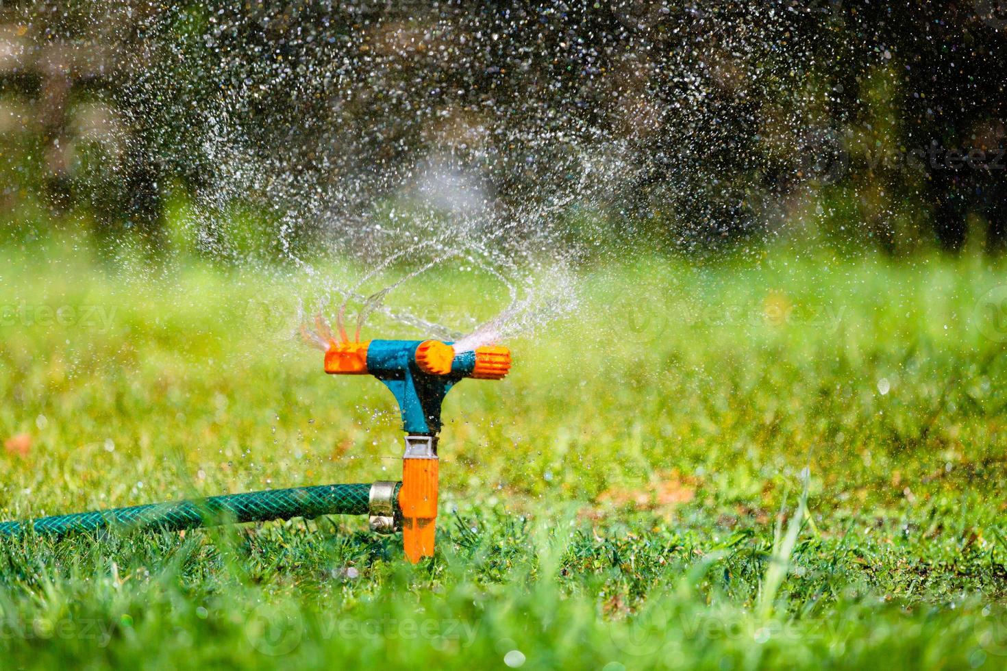 Garden sprinkler watering grass photo