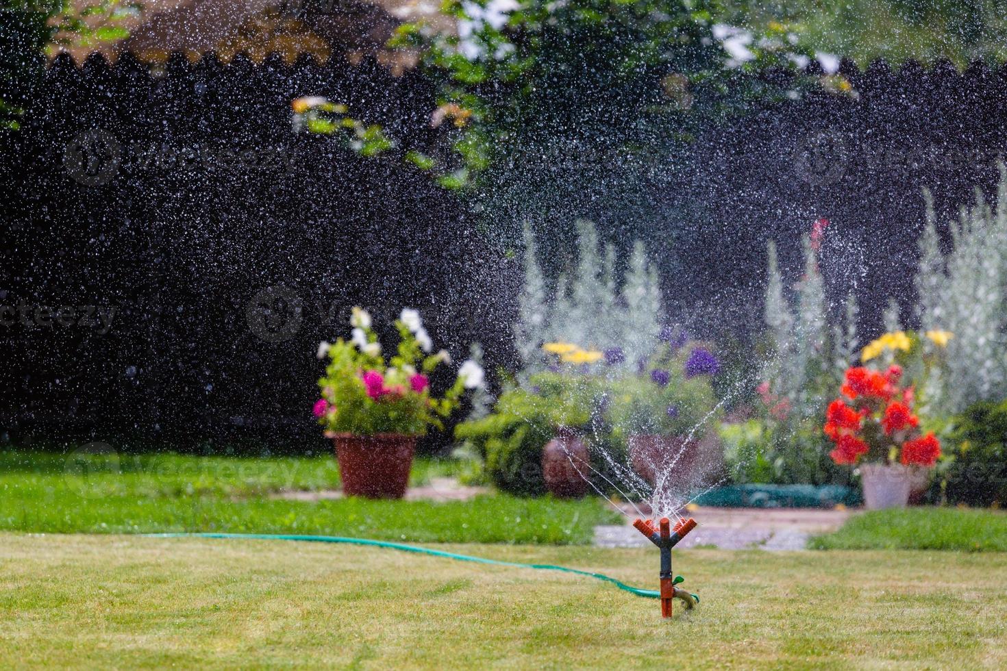 Aspersor de jardín regando césped y flores. foto