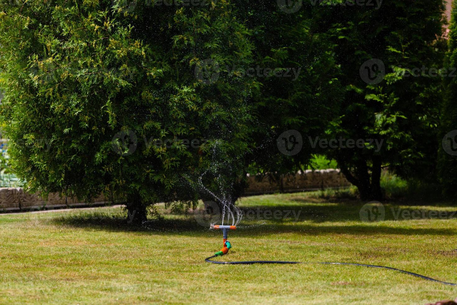 Garden sprinkler watering grass photo