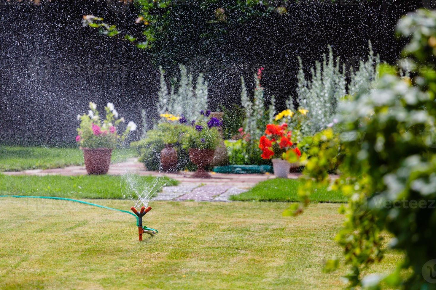Aspersor de jardín regando césped y flores. foto
