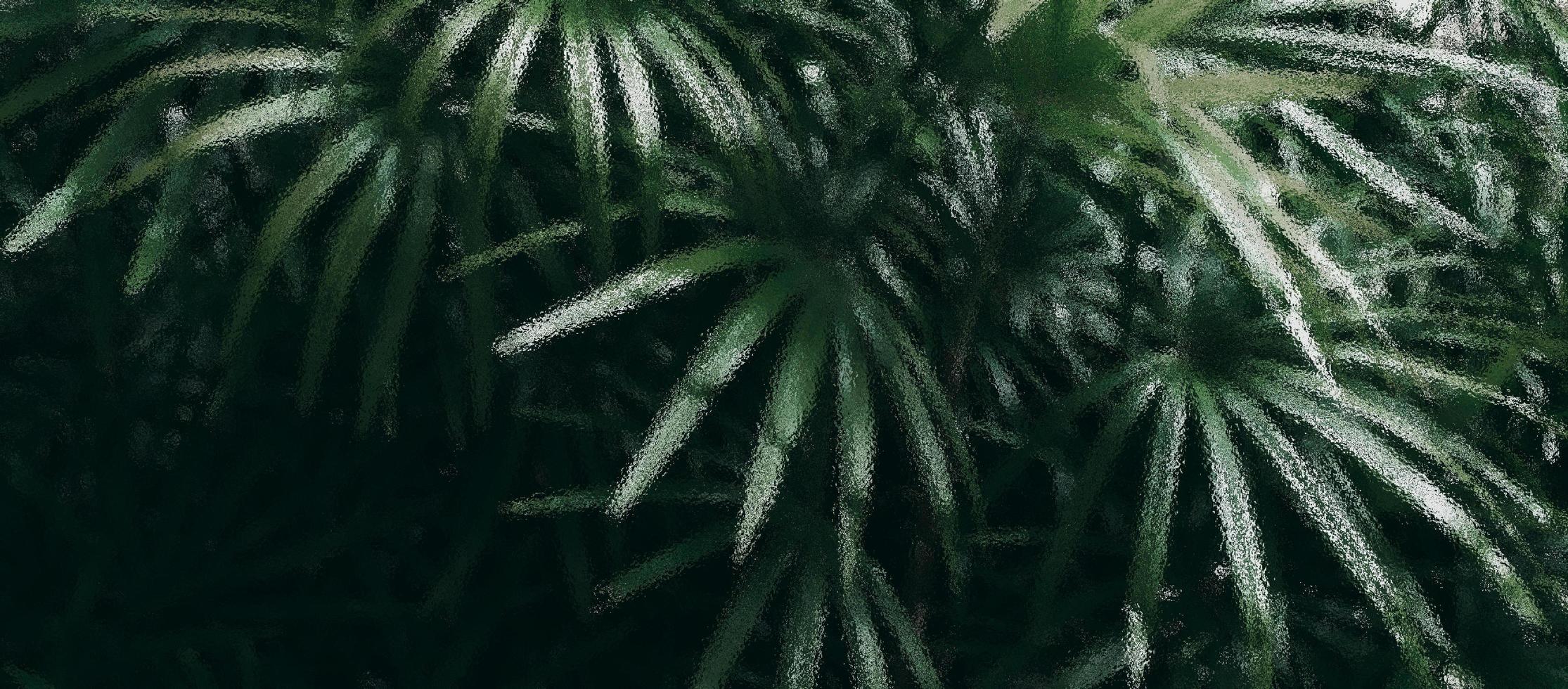 una vista borrosa del jardín verde visto a través de un tono oscuro de vidrio esmerilado foto