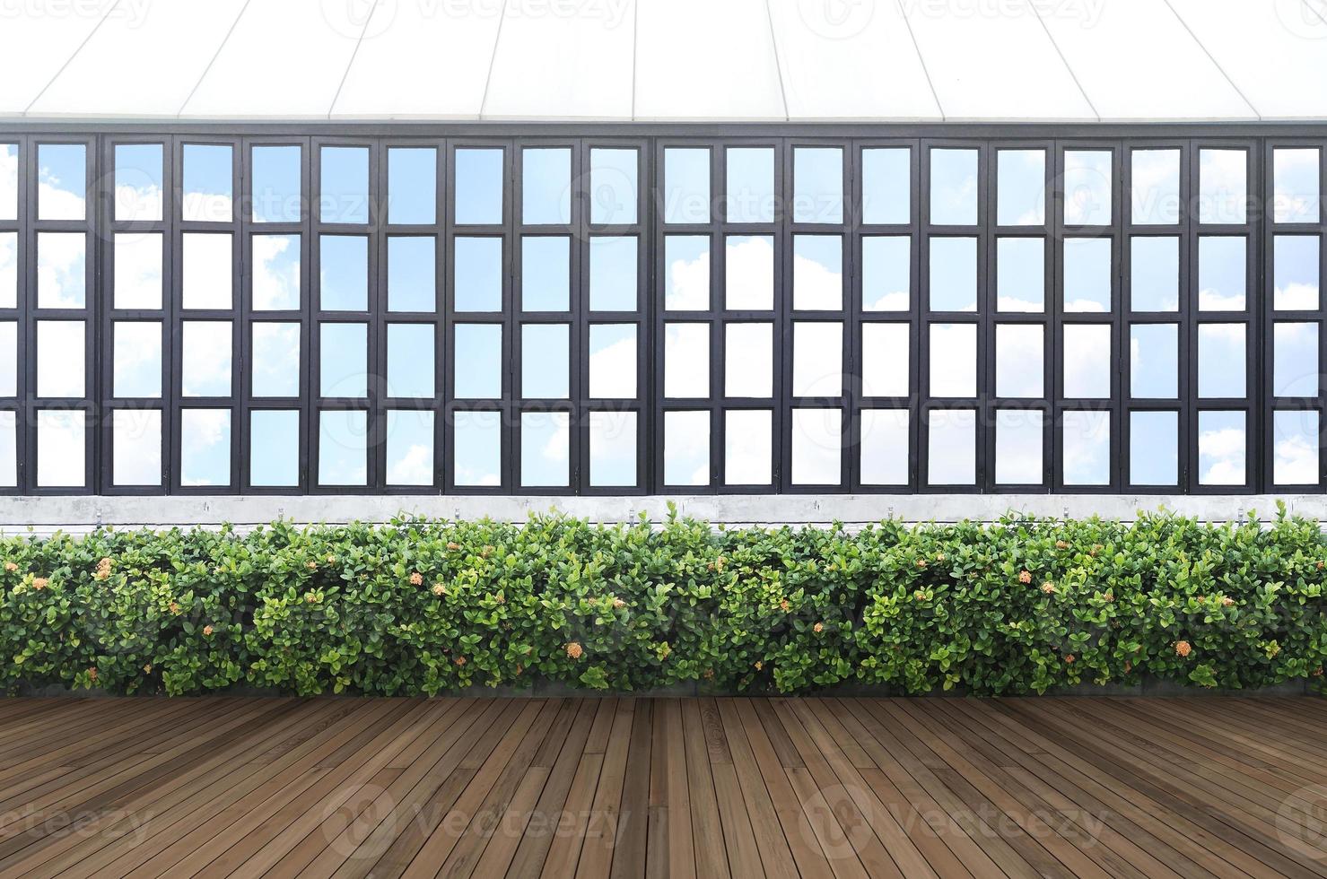 Tropical green leaf wall and window frame with clipping path photo