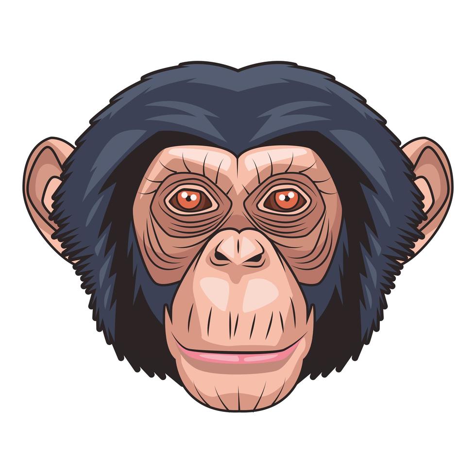 monkey animal wild head character in white background vector