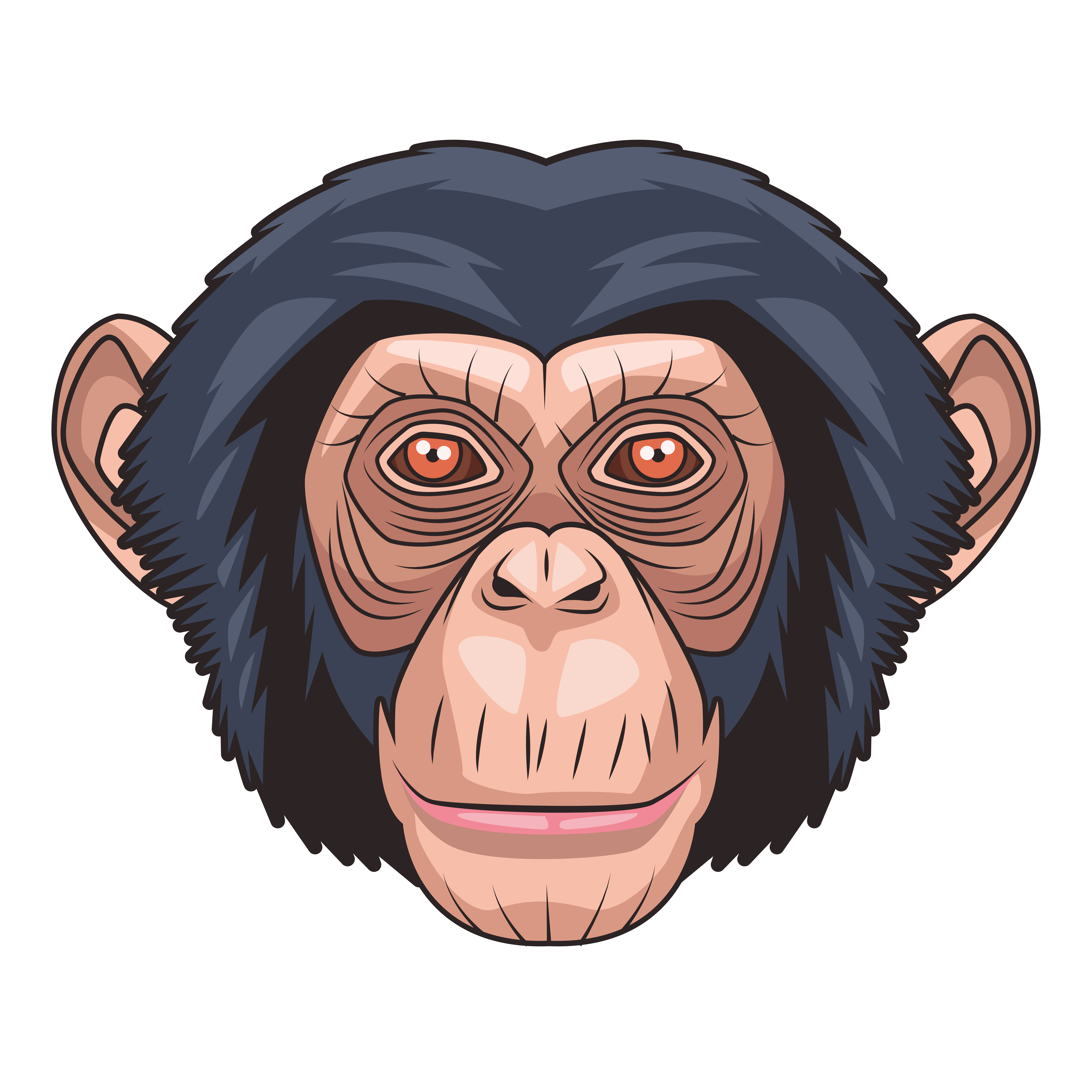 monkey animal wild head character in white background 2500072 Vector Art at  Vecteezy