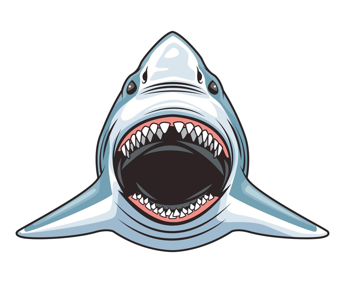 shark animal wild head character colorful icon vector