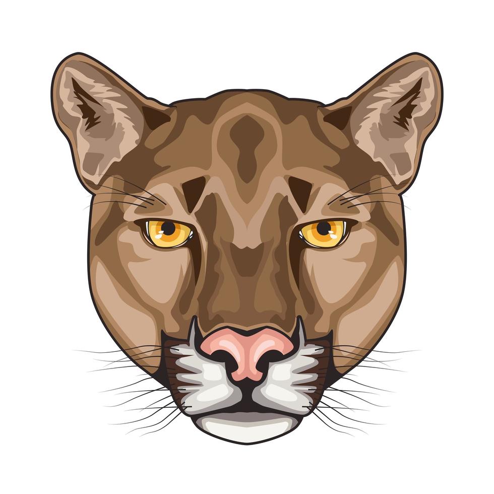 cougar animal wild head character in white background 2500090 Vector Art at Vecteezy cougar animal wild head character in white background 2500090 Vector Art at Vecteezy